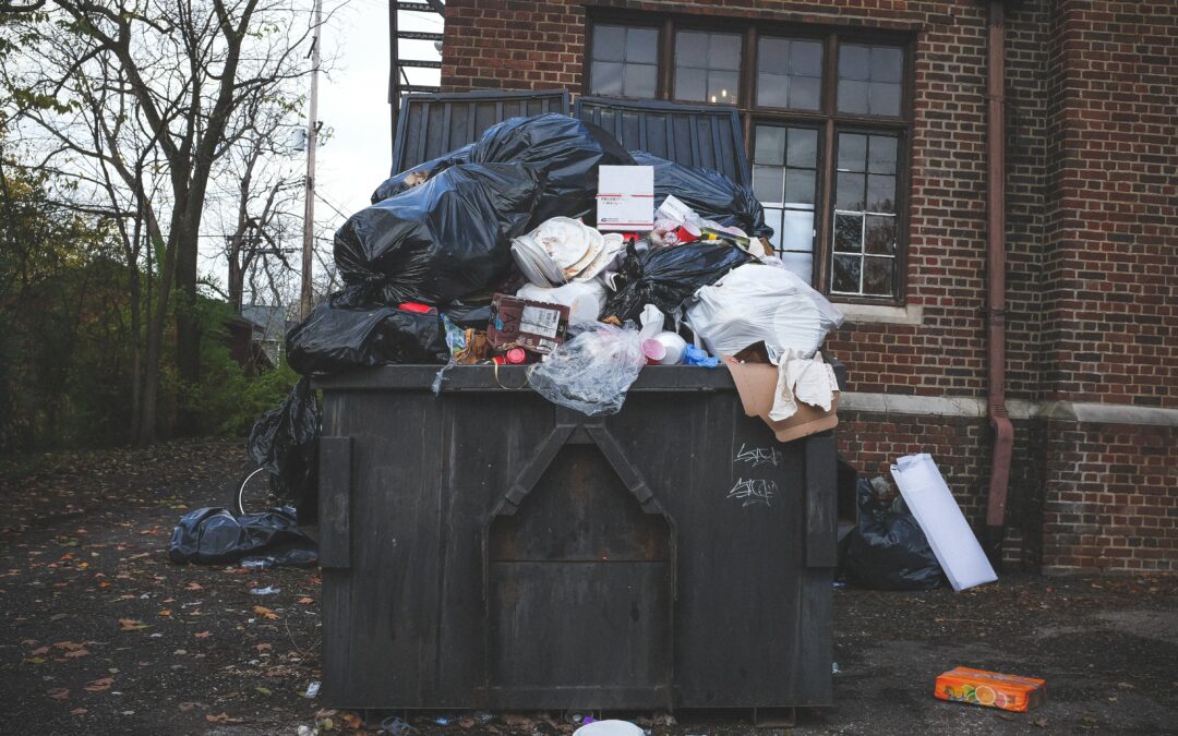 Dumpster Bag Vs. Dumpster Rentals: Which Is Better?